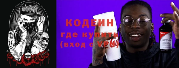 индика Богородицк