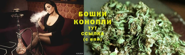 индика Богородицк