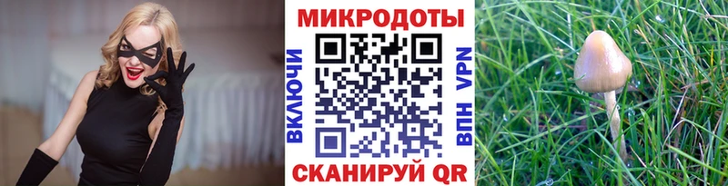 Галлюциногенные грибы мухоморы  сколько стоит  Барыш 